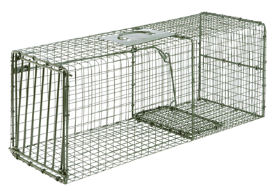 Duke Cage Trap 1112 for Raccoons, Opossum, Armadillo, Feral Cats & Skunks