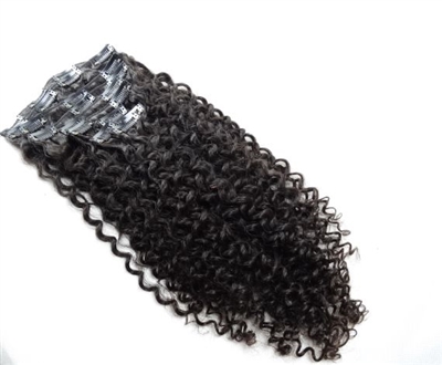 Kinky Curly Clip In's