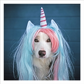 Unicorn Dog Card 16cm