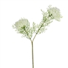 Elderflower Spray Cream 57cm