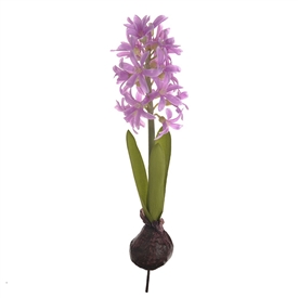 Hyacinth On Bulb Pink 34cm