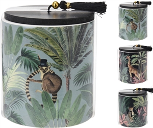 3asst Scented Jungle Candle  10cm