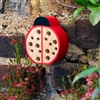 Ladybird / Ladybug Insect Hotel 10cm