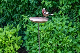 Cast Iron Bird Table With Robin  Pair 105cm