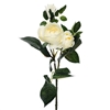 Prize Rose Spray Cream 42cm