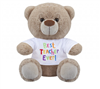 Best Teacher Teddy Bear 8"