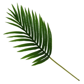 Single Stem Green Palm Leaf 65cm