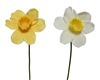 2asst Artificial Narcissus 11cm