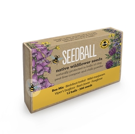 Seedballs Large Matchbox (12 Balls, 600 Seeds) - Bee Mix