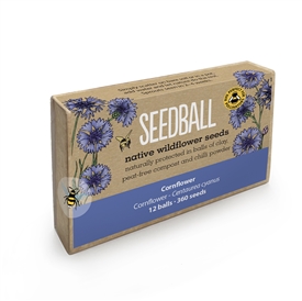 Seedballs Large Matchbox (12 Balls, 600 Seeds) - Cornflower