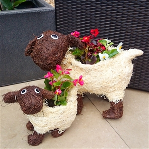 Large Cute Brown And White Brushwood Sheep Planter 41cm