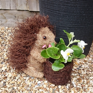 Cute Brown Brushwood Prickly Hedgehog Planter 24cm