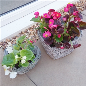 Grey Brushwood Heart Shaped Set Of 2 Assorted Sized Planters 22cm