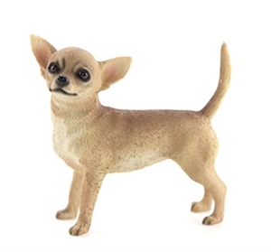 Chihuahua 11cm