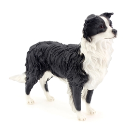 Border Collie 15.7cm