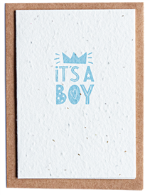 Plantable Wildflower Seed Card - Its a Boy