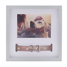 Thoughts Of You Pet Collar Frame 28.5cm
