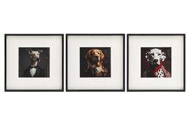 3asst Dog Cynocephaly Wall Art 40cm