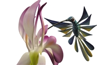 Hummingbird and Orchids Genuine Oaxacan Wood Carving