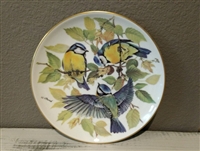 Bird Collector Plate Vintage Eurasian Blue Titmouse - European Songbirds