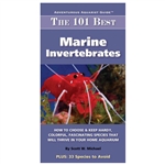 The 101 Best Marine Invertebrates Scott Michael