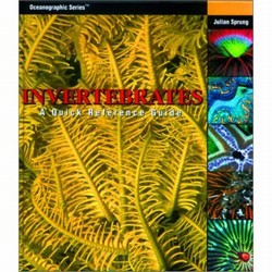 Invertebrates: A Quick Reference Guide (Hardcover)