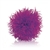 BiOrb Purple Color Ball