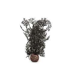 BiOrb Black Sea Fan Small