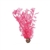 BiOrb Pink Sea Fan, Medium