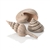 BiOrb Natural Sea Shells Set