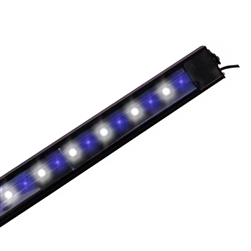 Reef Brite 72" XHO 50/50 LED Light