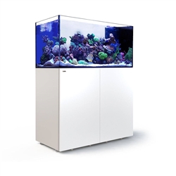 Red Sea REEFER Peninsula 500 White Aquarium