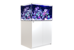 Red Sea REEFER XL300 G2 White Aquarium System