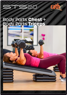 STS 2.0 Body Parts Chest + Body Parts Triceps Workout DVD