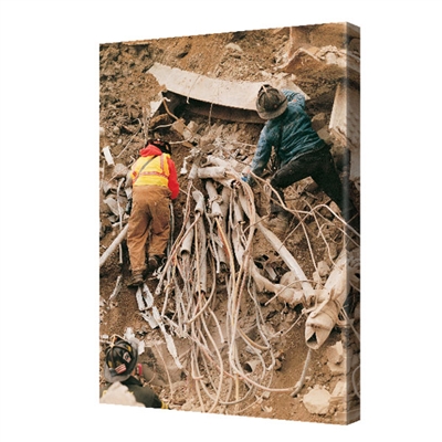 â€œSearching the Rubbleâ€ Canvas 24 in. x 36 in.