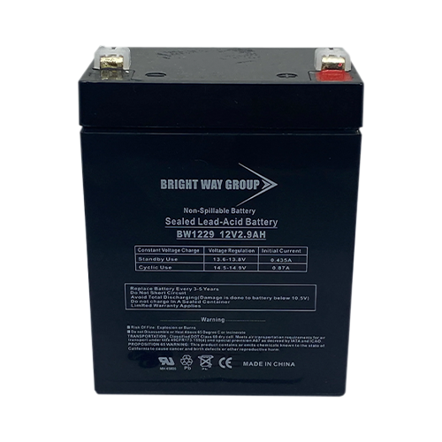 Bright Way Group BW-1229 2.9Ah 12V AGM Sealed Lead Acid Battery