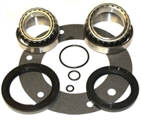 ZF E-Brake Bearing & Seal Kit, BK300BDZF