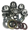 Ford ZFS6-650 Bearing Kit, BK486