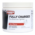 Hammer Nutrition Fully Charged