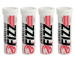 Hammer Nutrition Endurolytes Fizz