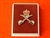 Quality Royal Army Physical Training Corps Boxed Instructors Lapel Badge ( RAPTC Lapel Badge )