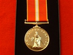 The Active Service Medal ( Full Size Commemorative Medal )