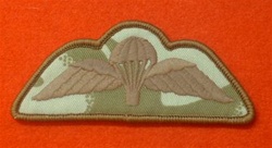 Para Wings Combat Badged Desert