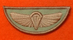 SAS Wings Combat Badge ( Special Air Service Desert Combat Wings badge )