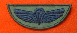 SAS Wings Combat Badge ( Special Air Service Desert Combat Wings Badge )