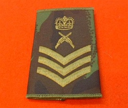 S/SGT Skill-At-Arms Instructor Combat Rank Slide