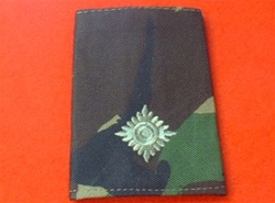 2nd LT Jungle Combat Rank Slide ( Second lieutenant Jungle Combat Rank Slide )