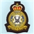 RAF 100 SQN Crest Badge ( 100 Squadron Crest Badge )
