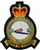 RAF 115 SQN Crest Badge  ( 115 Squadron  Crest  Badge )