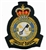 RAF 16 SQN Crest Badge.